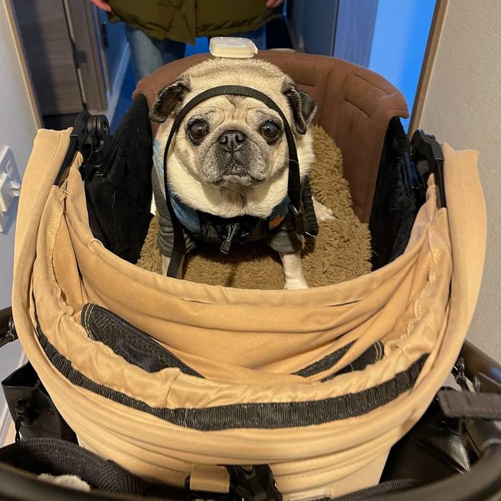 Ecac2cac c3ed 4b97 829d 783266b655d8 1768003319425