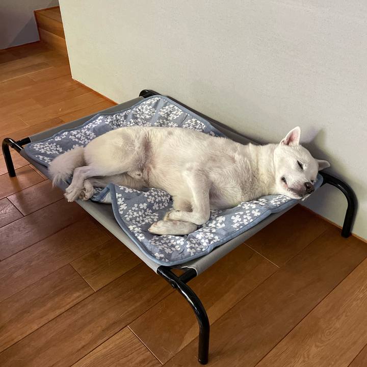 Ecac30d1 a208 426f 9e53 3e9f60d22884 1723335655471