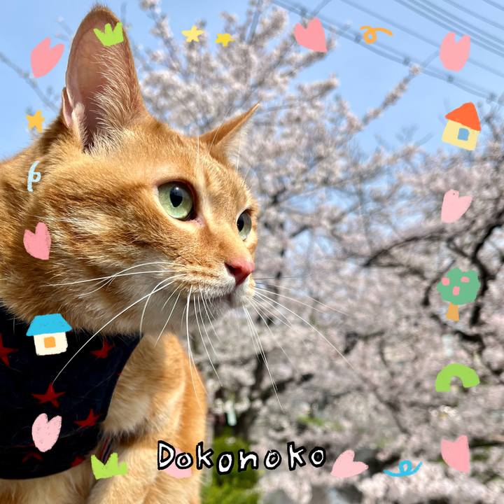 Ecac7ae1 c364 4cd8 8c94 5b33d8ea847c 1741061626914