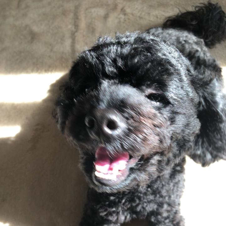 Ecac91bc 964d 48a3 9b7c 7b51e1e58b12 1537191970451