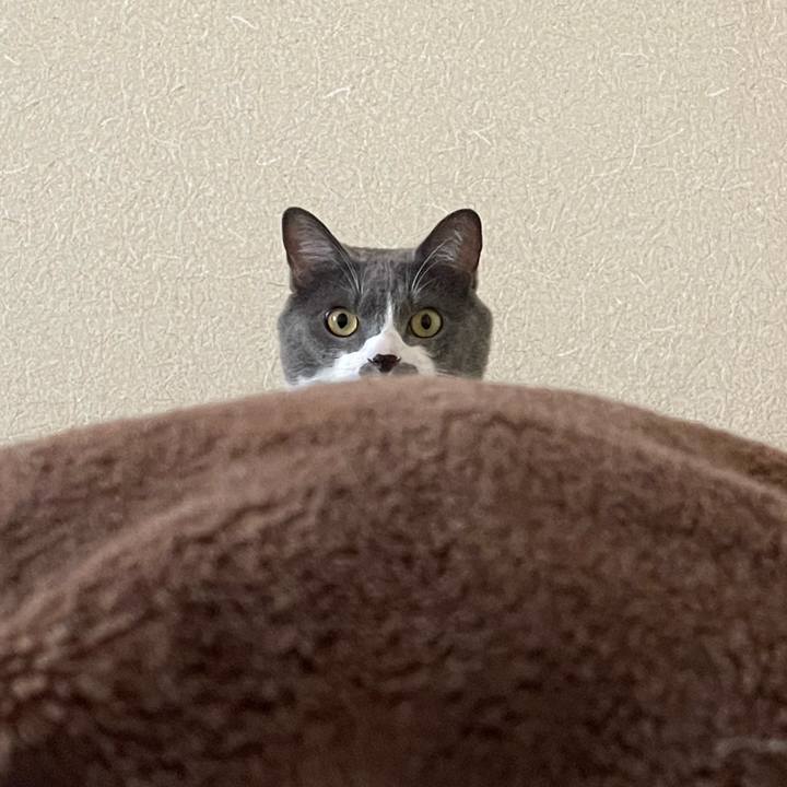 Ecacc5db f105 4dc7 b079 a28aa7dbefb1 1661152116670