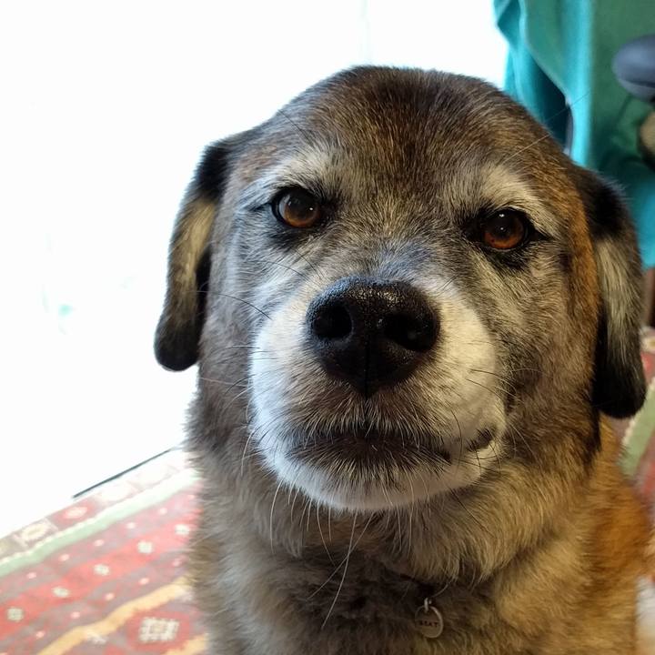 Ecacf5f3 8e24 4825 9651 39b3b37b3e29 1533712280224