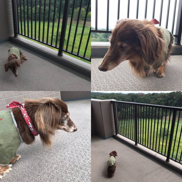 Ecacffb5 1e3e 4f54 8c0d 308fb380039d 1600656911039