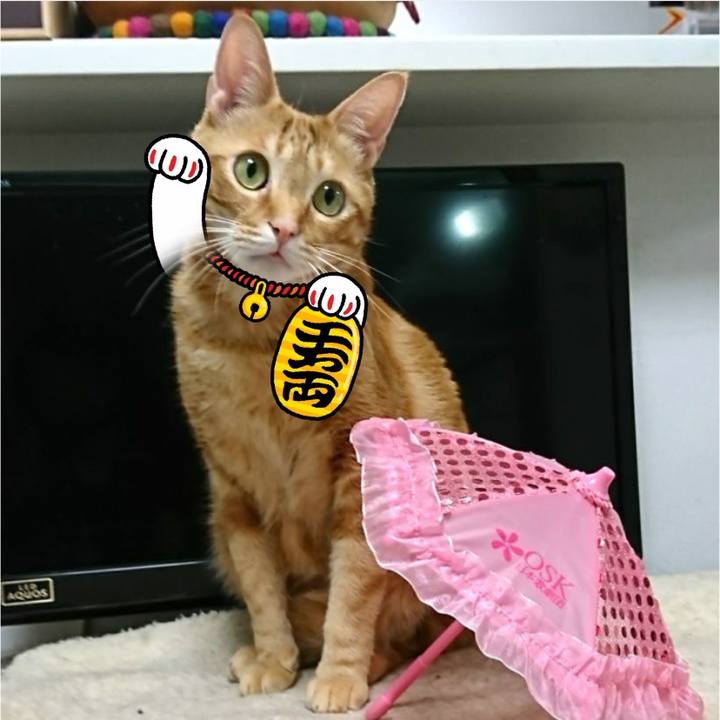 Ecad121d cc78 4c4a b185 e875b1be233d 1569711291947