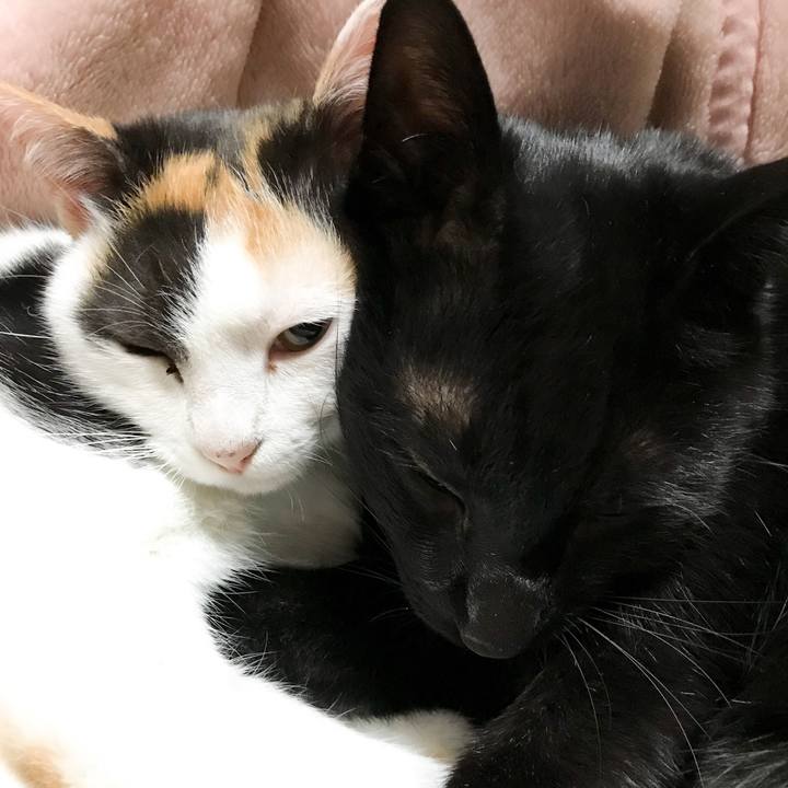 Ecad1f72 8cb4 4631 ab31 a01a52c720ff 1511791841958