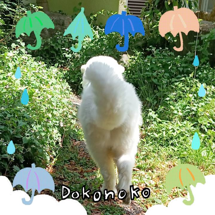 Ecad3920 1bb2 46de 84c7 0a288093ba55 1717634684474