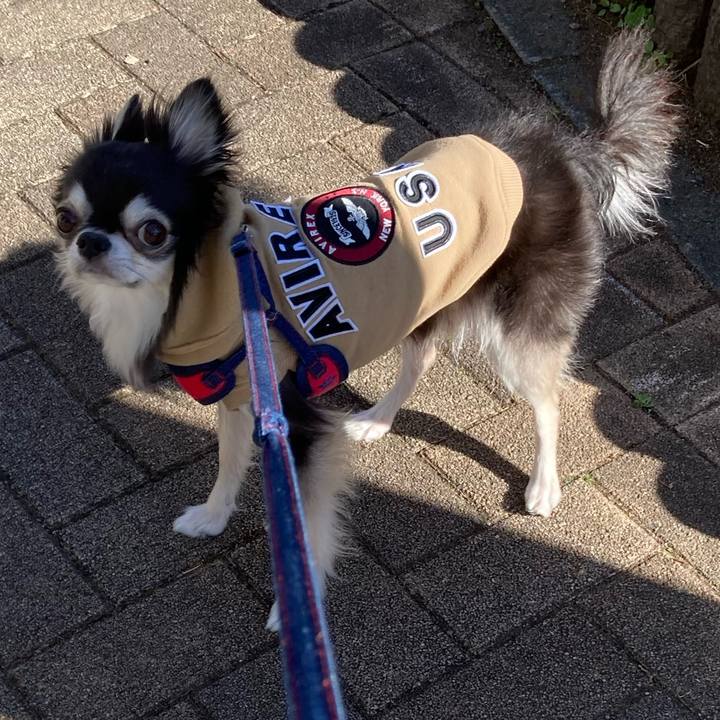 Ecad848e 7f2f 4a7d a3f3 1ab519811891 1702795340378