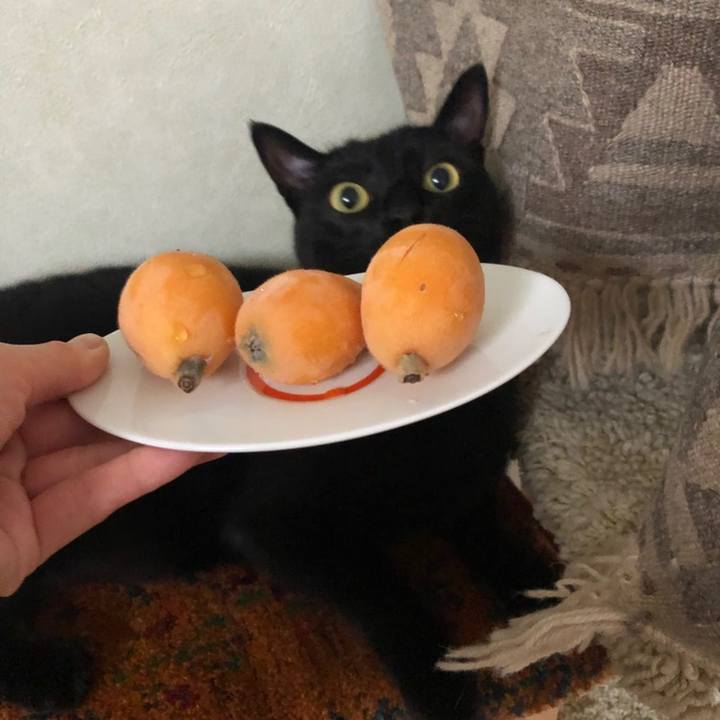 Ecadb3d4 8717 4a39 a010 b7d0c507306b 1559861524296