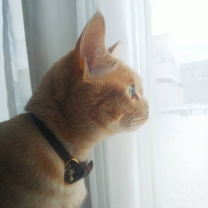 Ecadd14c f437 4001 a58c bdeef7c60812 1639891237050