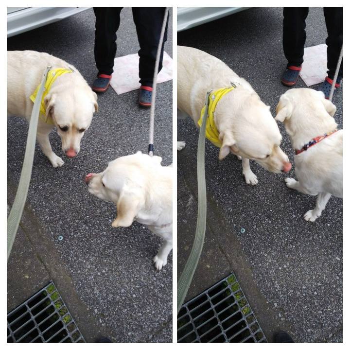 Ecadf79f 4c93 48be 9680 148767968b06 1580802079762