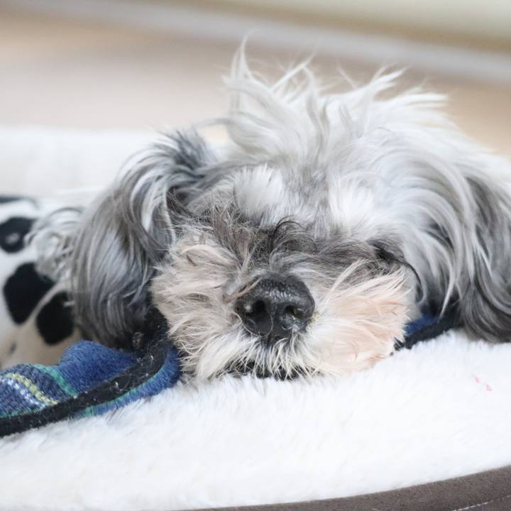 Ecae140c 4373 4588 921b 621d9c862de3 1771736688683