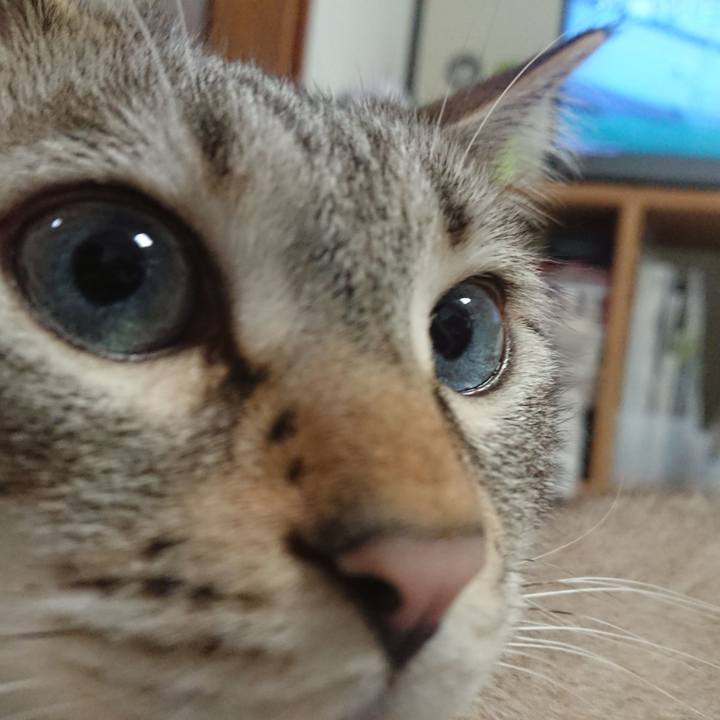 Ecae1e09 7ccb 455e 9e3c 371f2b7c38a3 1528547675765