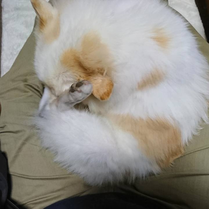 Ecae35f2 c5ba 46ed b89e 165a47d531a7 1508879779273