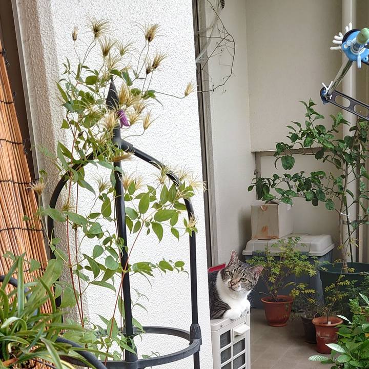 Ecaebaa2 ca18 44a2 a687 0a0038fcbe4d 1696379431076