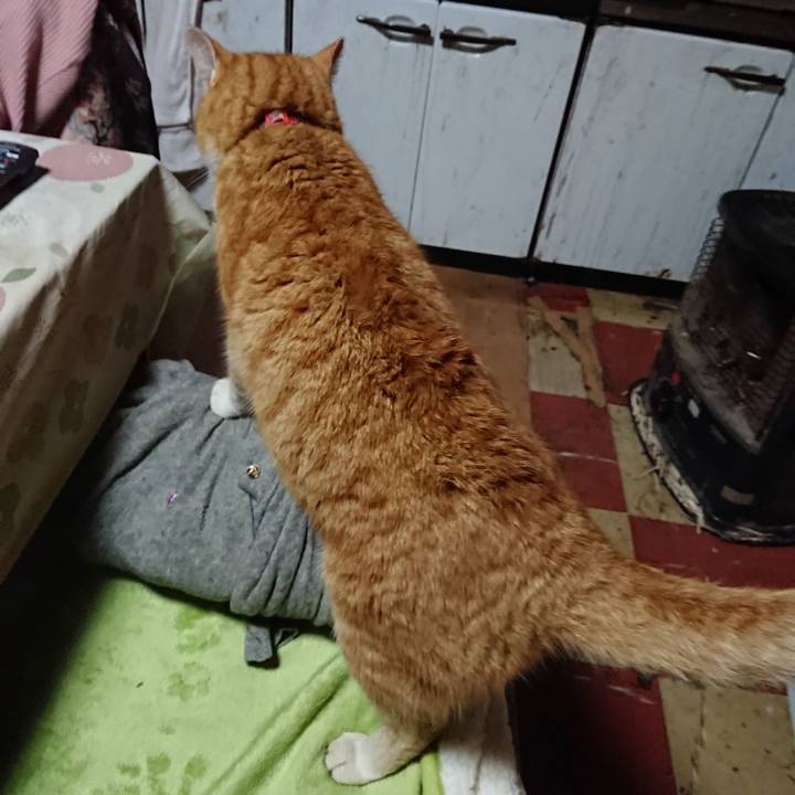 Ecaedd49 44a8 4d06 aa1b 66d541d61a3c 1579772098900