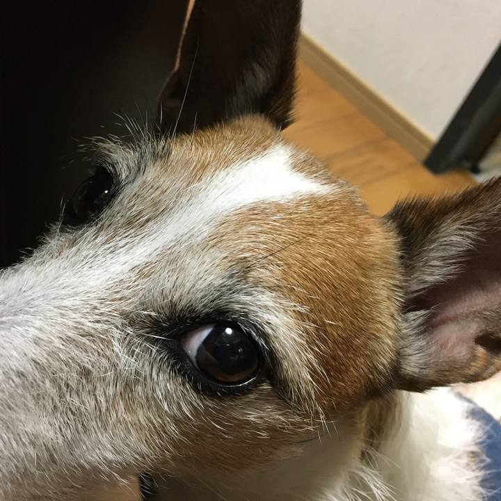 Ecaee213 e1cc 4804 bad9 7cb5997c37e5 1641943124267