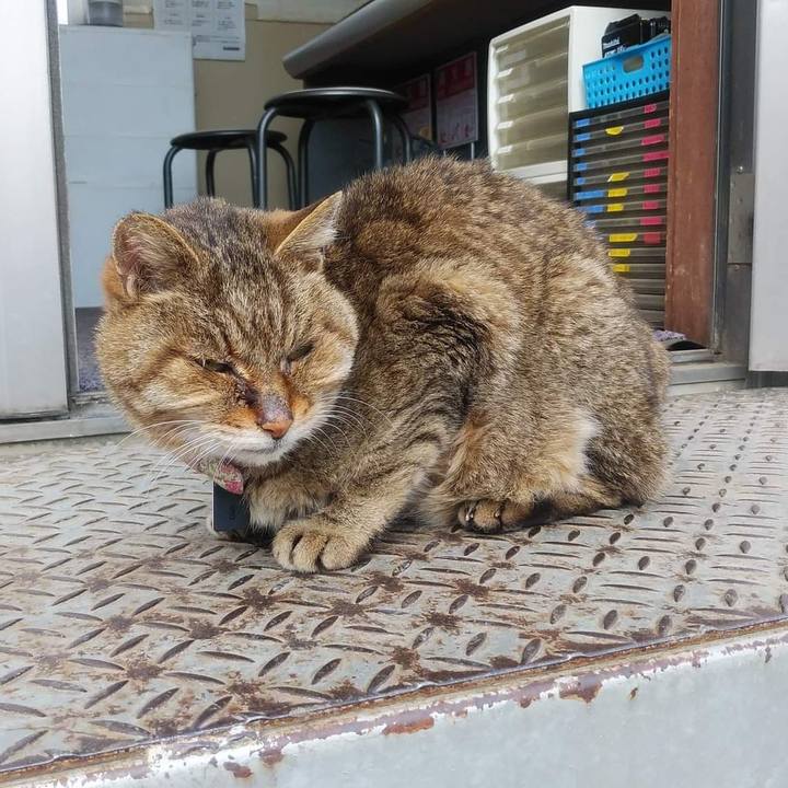 Ecaefc1a 97e2 4a57 846f 133abd925c44 1647311356053