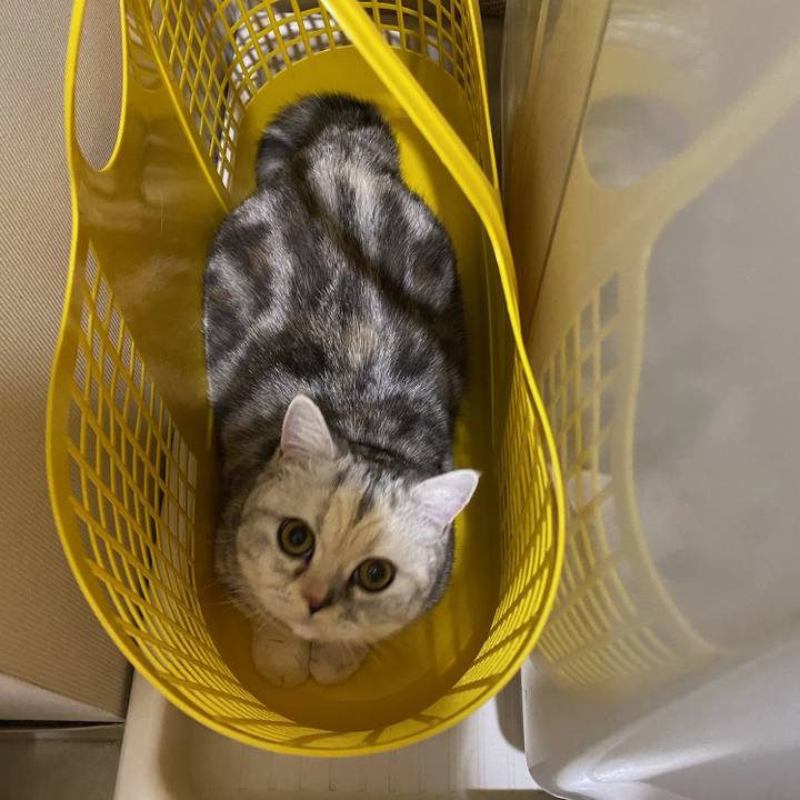 Ecaf5918 465d 4570 ae6a fae6e0c36281 1705223190193