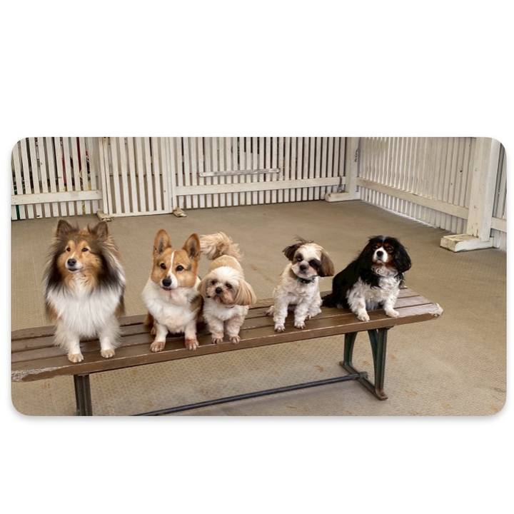 Ecaf652e a4b3 4814 a121 14571f1c75b8 1743999146592