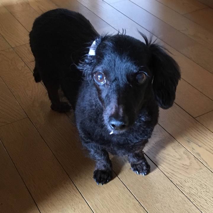 Ecaf9702 6078 4f9d 93b0 e4504eaa1beb 1533509110586