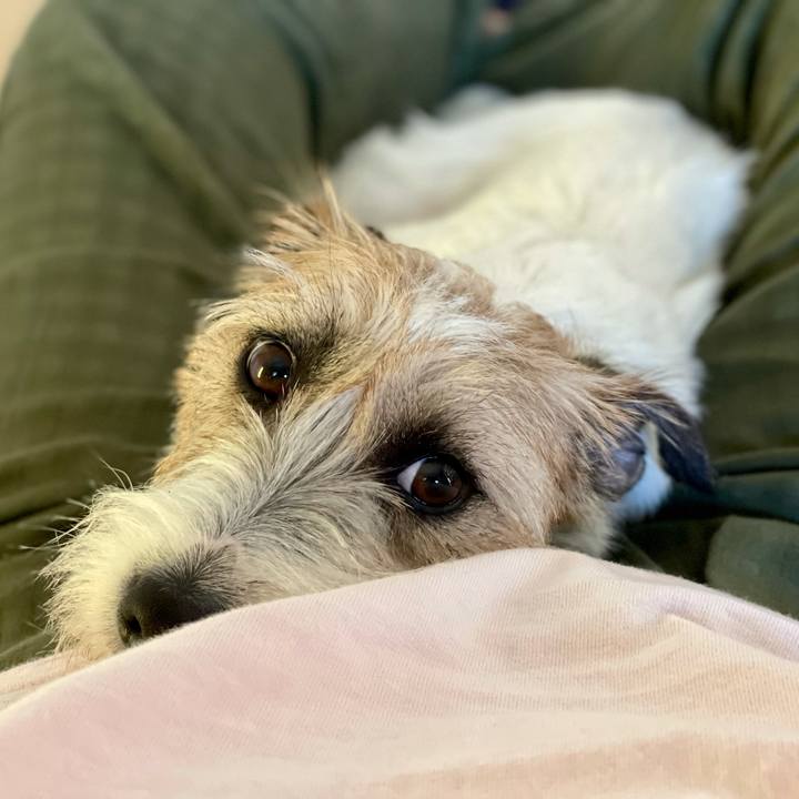 Ecafa485 0efa 4134 a47d 993bd821f9f9 1623218203101