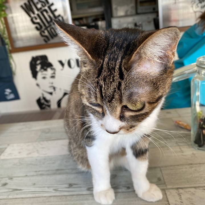 Ecafb70f 24e6 4b07 84ef 06f25eb6f304 1609650219271