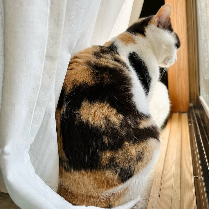 Ecafddce 2ec7 4807 942c 04eda815aefd 1674440035276