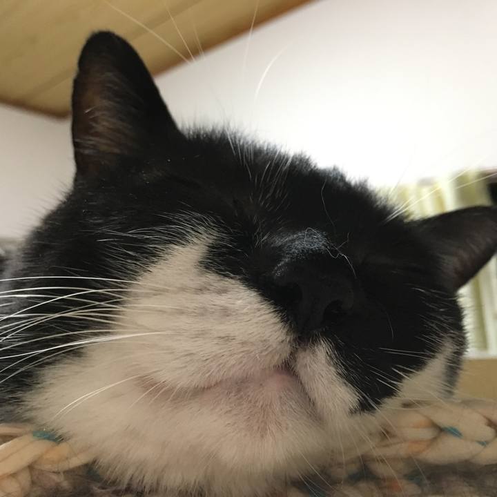 Ecb01f16 aa09 4bec ac0c 699290743db6 1509160180858