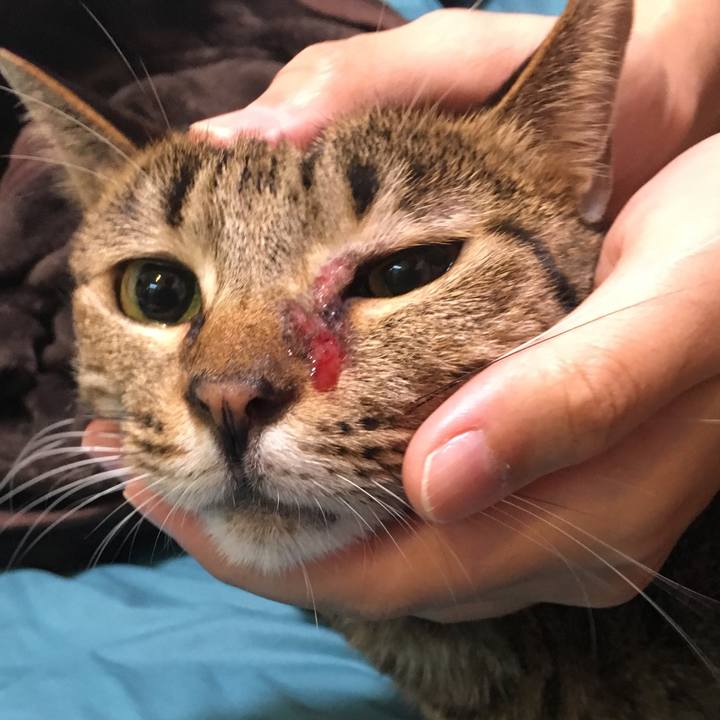 Ecb01f8d 2da7 47b7 abc3 51b1c06439f0 1541298291040