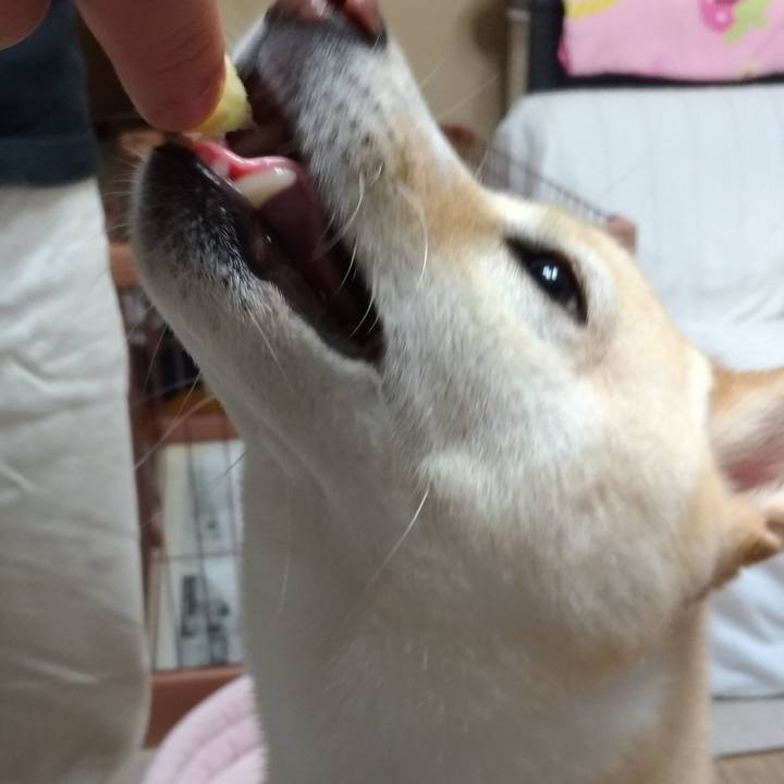 Ecb06041 bd0a 477c 8878 45beb613de05 1602110176211