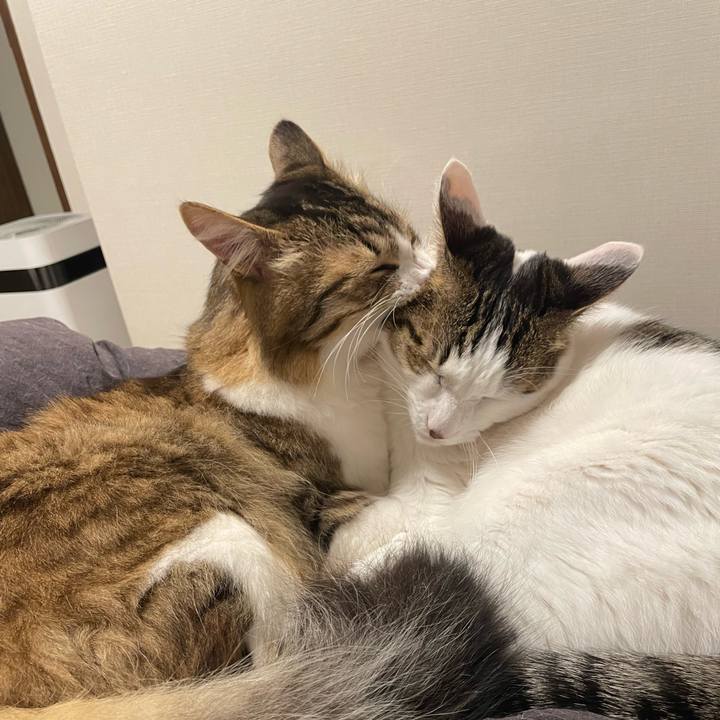 Ecb08b7d 7a61 4465 8dce 2e9d63e5ed64 1771459222638