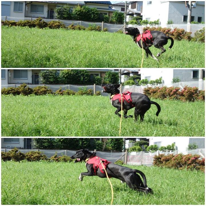 Ecb08da0 df4b 4af0 b51d 434123676058 1591748662723