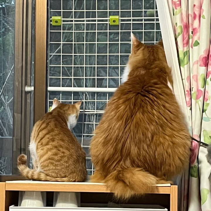 Ecb0b2ec a602 48ce aeed 818806fb0f8c 1636273546024