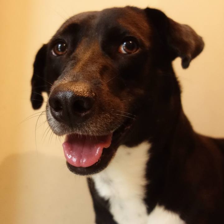 Ecb0ba81 e59a 407f a80c 7c9f19bdb784 1595980397797