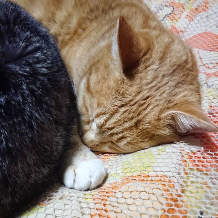 Ecb0dccf 3f7a 4118 a151 950db0c19683 1578139955358