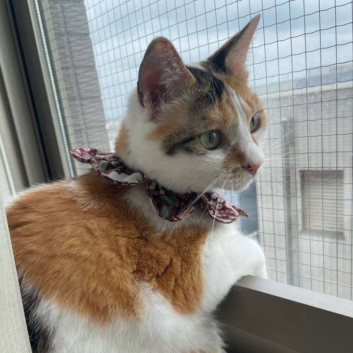 Ecb0ec00 9d03 449d 8351 9e1e3e325c2a 1751585837019