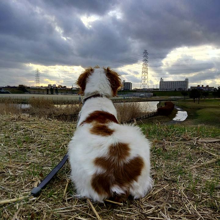 Ecb111eb 1218 4afa a8e6 56f1bfb84e7c 1515582608076