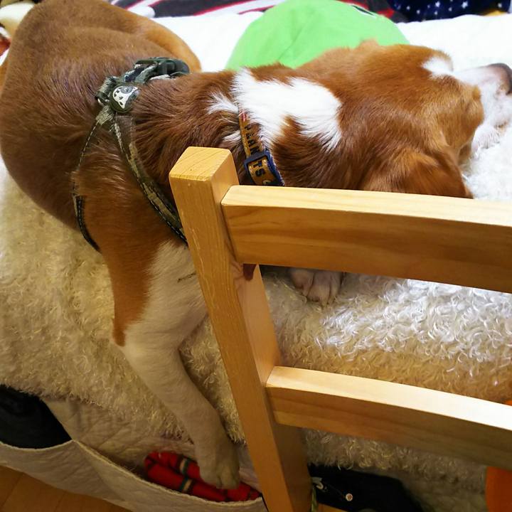 Ecb15d06 c585 4fbb a8f1 0e9d36619532 1543317468095