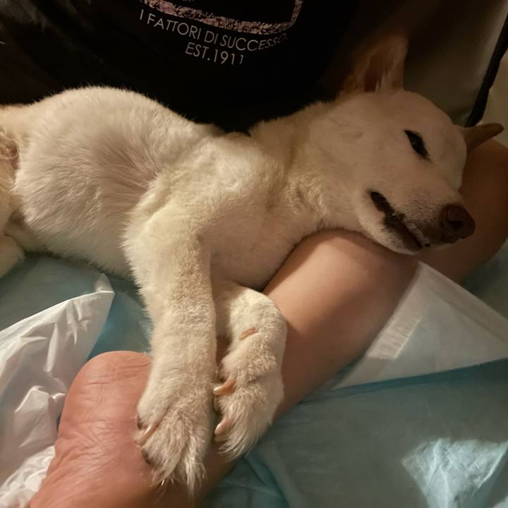 Ecb17673 ddf5 4641 8df3 a24e506bb184 1654359241703