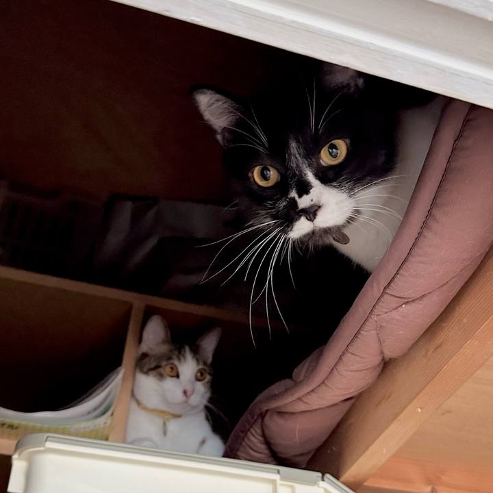 Ecb1adec 1005 441a ac2e 15bb208ba4a1 1759207695356