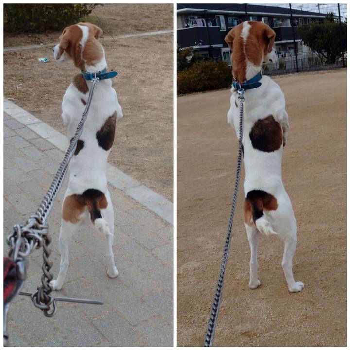 Ecb1b736 7b0c 4061 bd24 a239e71a048d 1611038317771