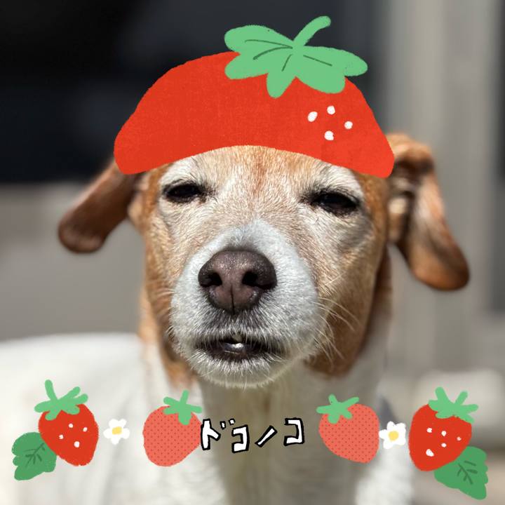 Ecb1cd12 b304 4a7a a216 52837c1ea50b 1775183599912