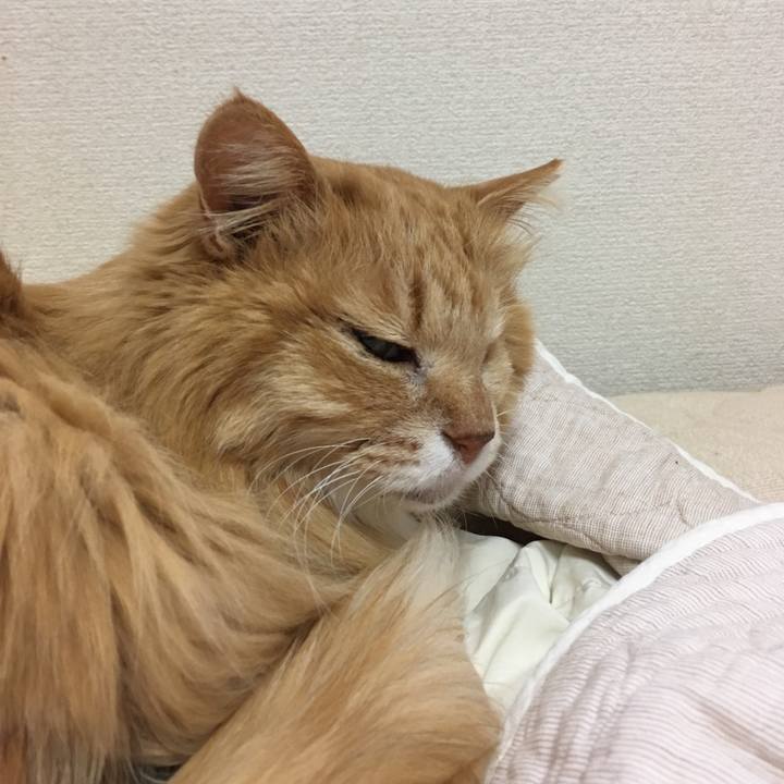 Ecb1d56a 060a 4716 97d6 20327c2ac8cf 1521762564800