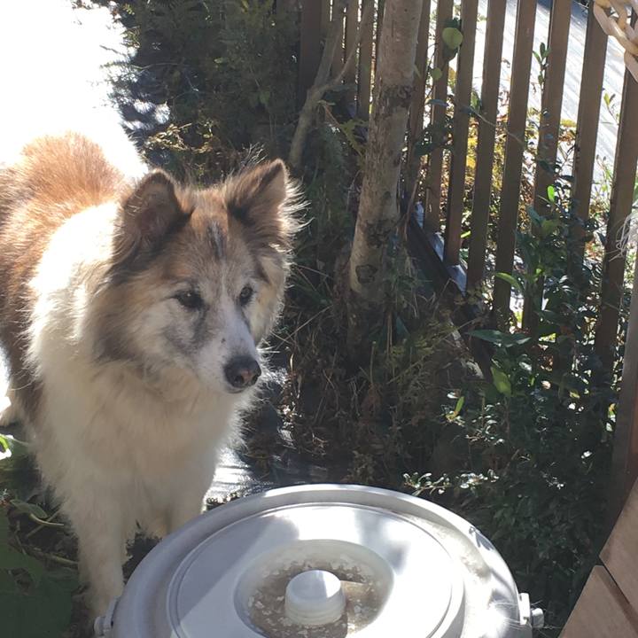 Ecb1d660 08bf 4a73 982f 5dfe3da26d8a 1512527806943