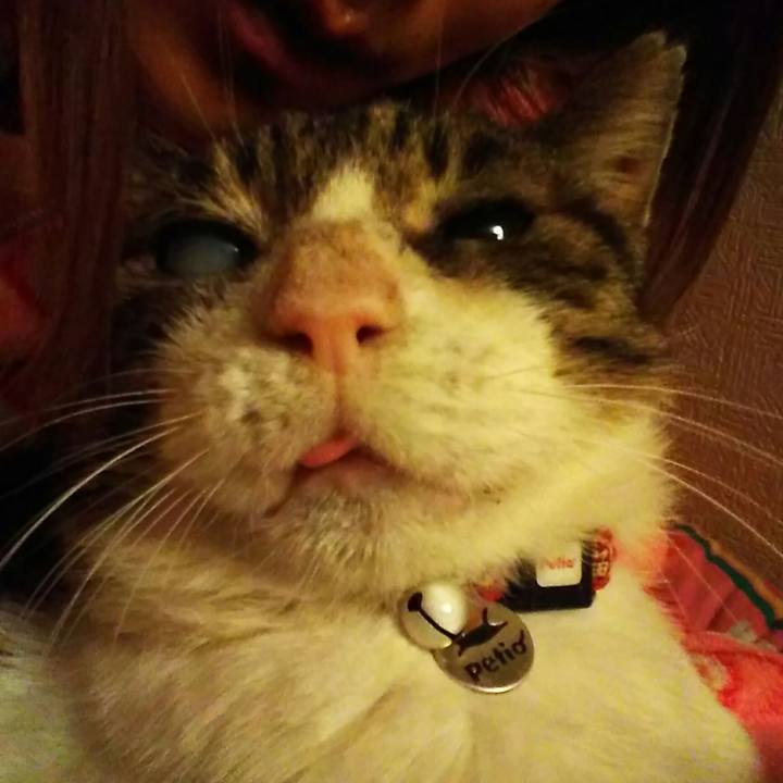 Ecb1d69d 8504 43c5 99c8 b90b9caab70e 1553362003359