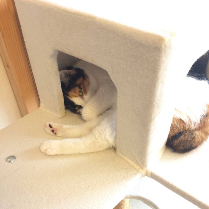 Ecb1e052 efea 4e27 9e08 dd4e3a4d0336 1595643475631