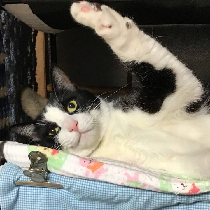 Ecb1fac2 054c 4d41 8820 8688ea0eb262 1734263540886