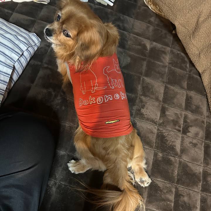 Ecb1fcd0 0355 4fc9 bf9a 9683d33f12c6 1731013845856