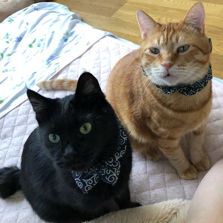 Ecb20867 0ac0 4cfd 9baa efabf797f852 1559081647986