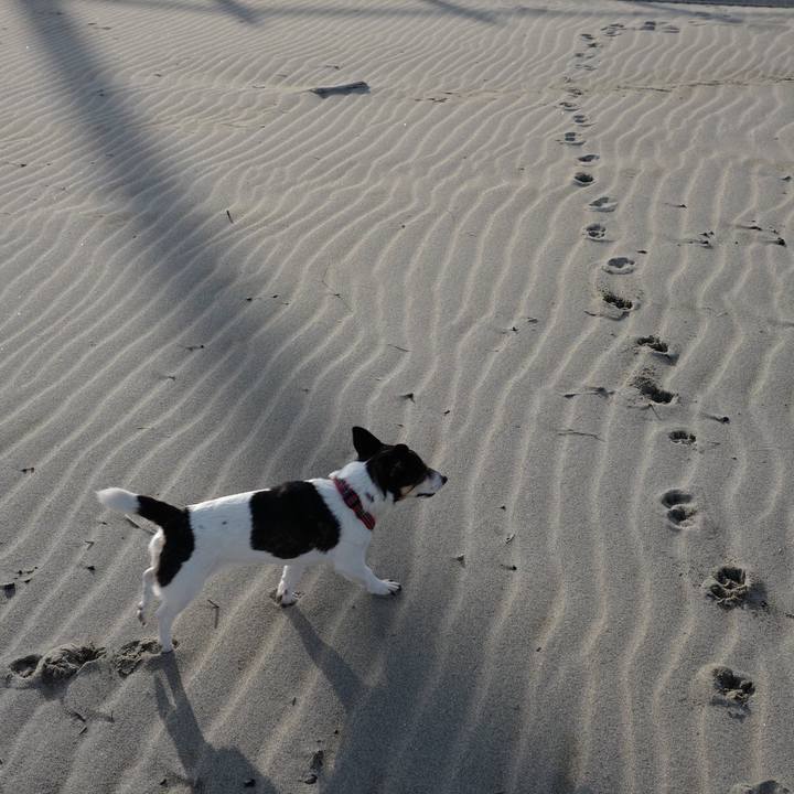 Ecb20db5 c59b 4104 98b3 ce1d1069cc6f 1553572648449